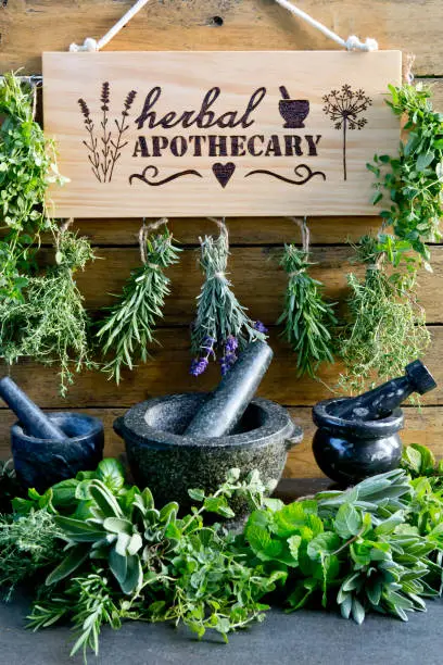 Herbal Courtyard Garden