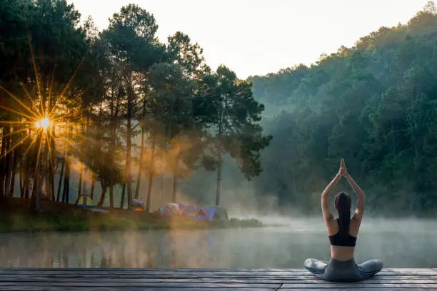Wellness and Retreat Garden