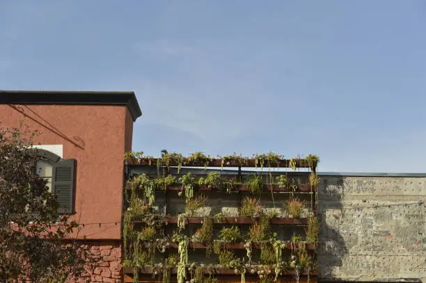 Vertical and Rooftop Garden